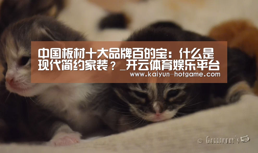 中国板材十大品牌百的宝:什么是现代简约家装?_开云体育娱乐平台(图1) 开云真人娱乐