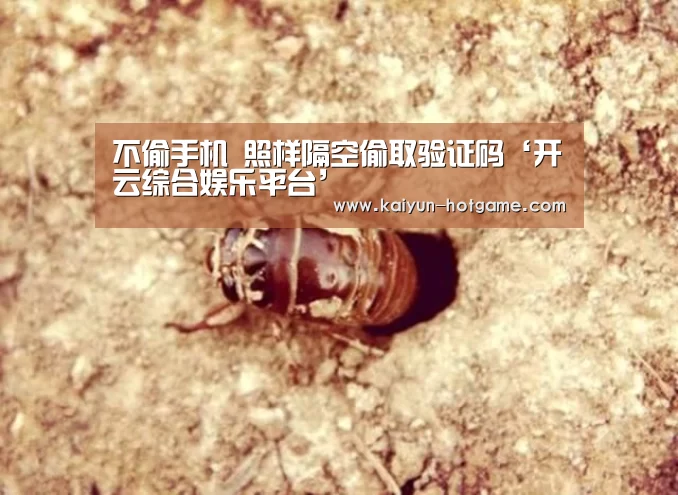 不偷手机 照样隔空偷取验证码‘开云综合娱乐平台’(图1) 开云综合娱乐平台