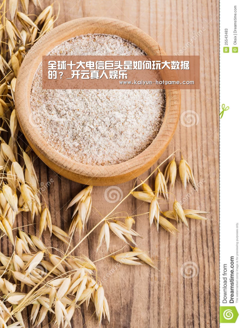 全球十大电信巨头是如何玩大数据的?_开云真人娱乐(图1) 开云真人娱乐